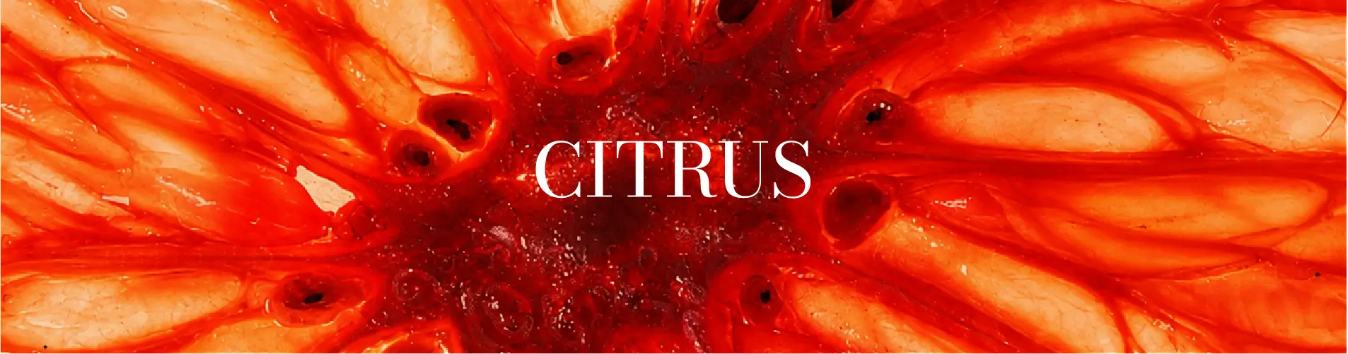 Citrus Perfume & Fragrance in Pakistan | Long-Lasting EDP