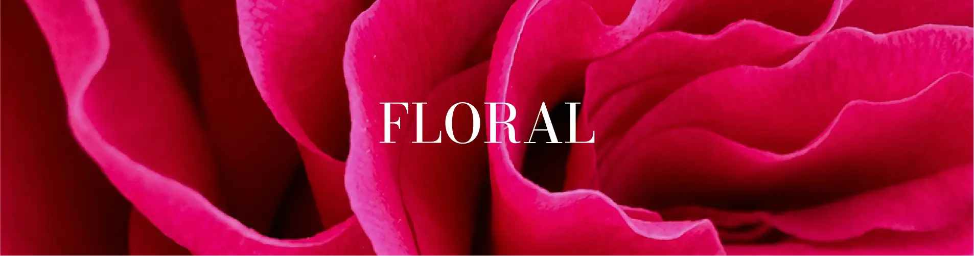 Floral Perfume & Fragrance for Women in Pakistan | Long-Lasting EDP
