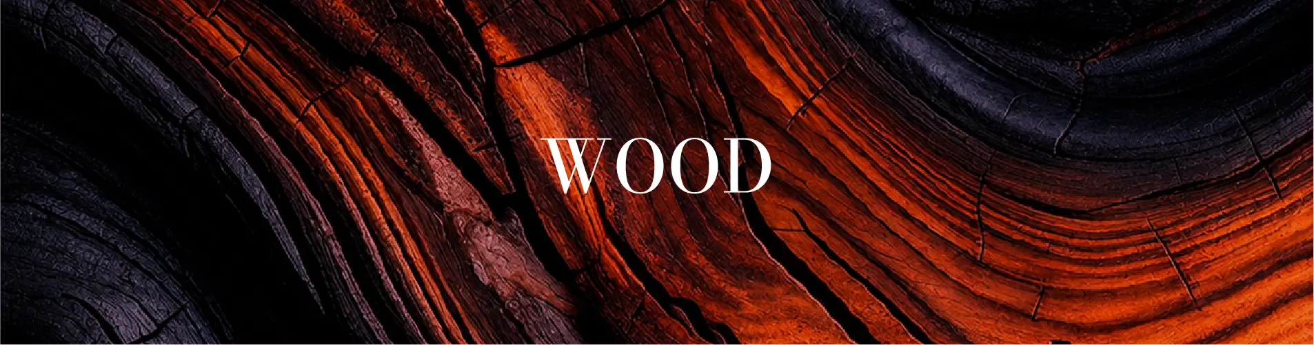 Woody Fragrance & Wood Perfume in Pakistan | Long-Lasting EDP